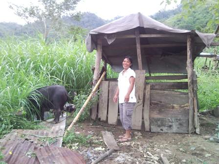 Borrower image