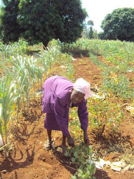 Borrower image