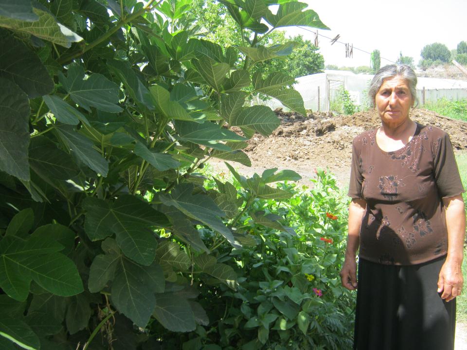 Borrower image