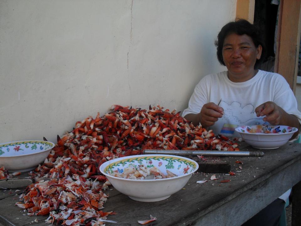 Borrower image