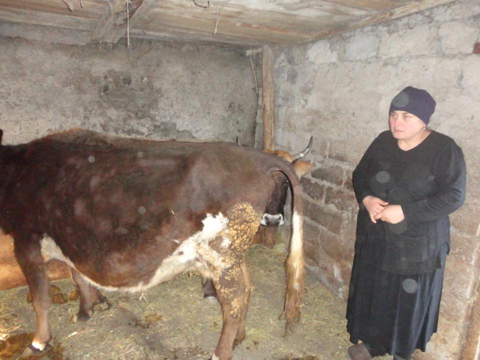 Borrower image