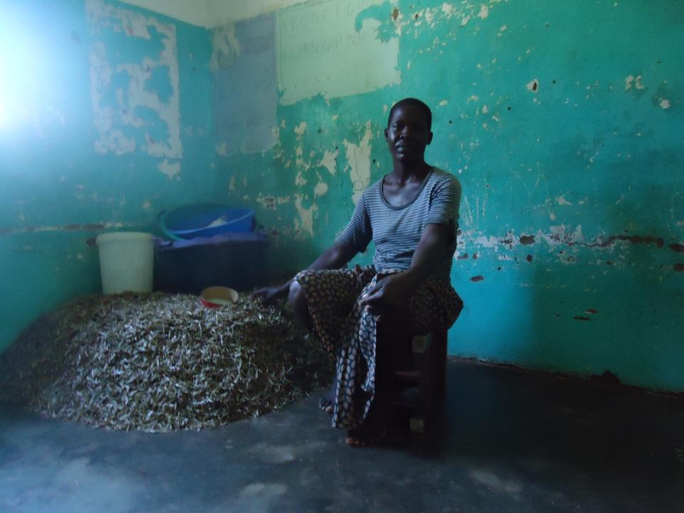 Borrower image