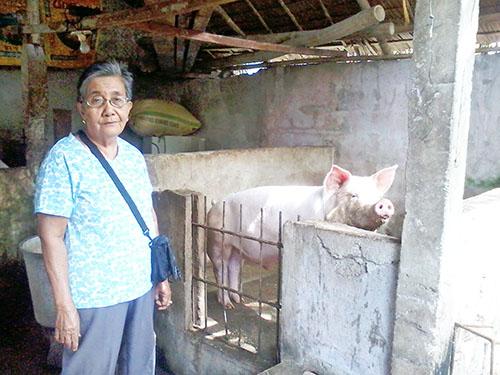 Borrower image
