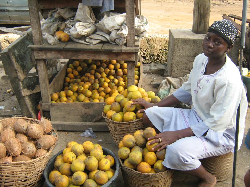 Borrower image