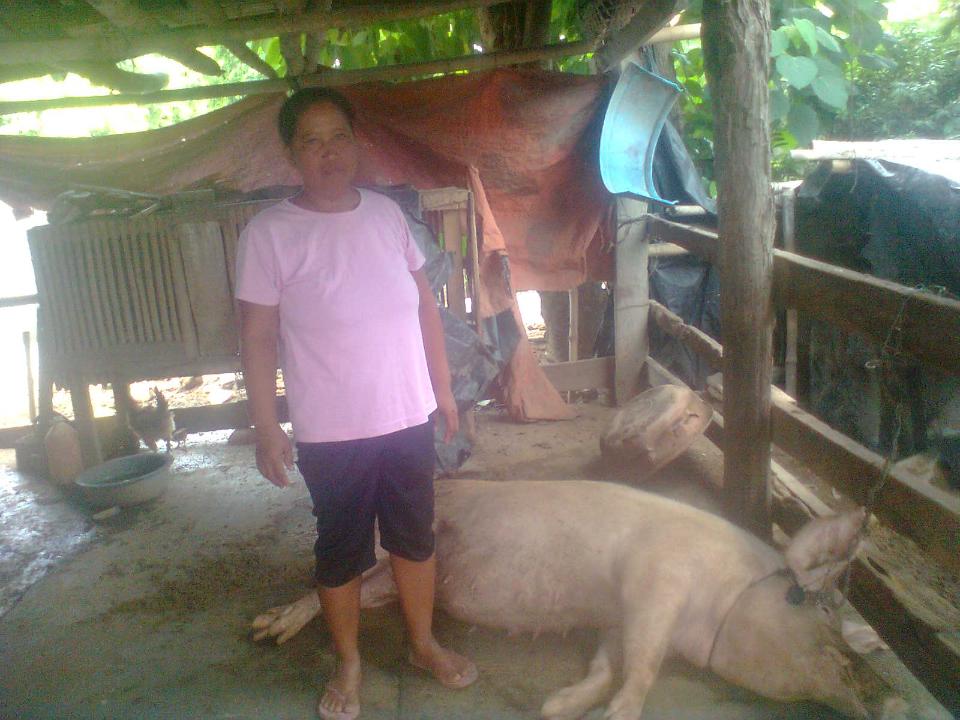 Borrower image