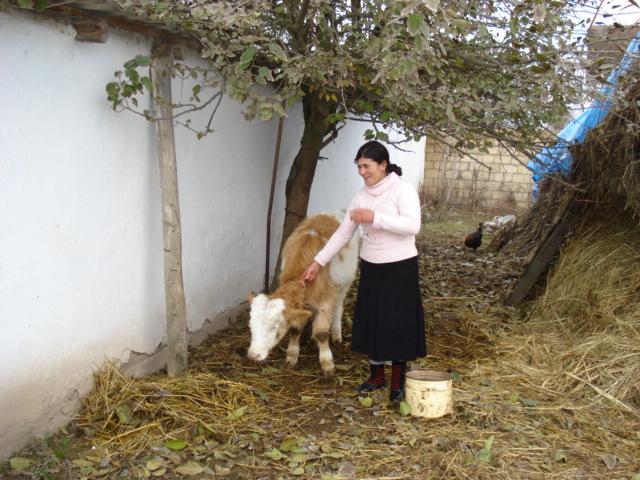 Borrower image