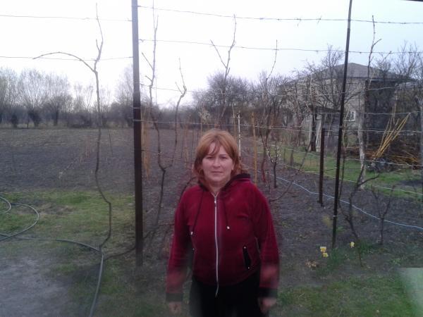 Borrower image
