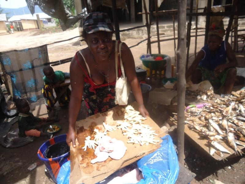 Borrower image