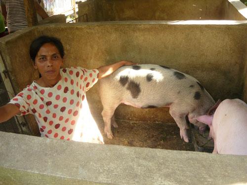 Borrower image