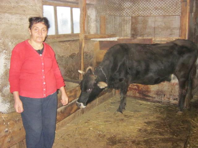 Borrower image