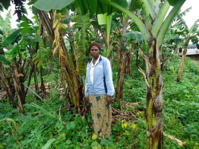 Borrower image