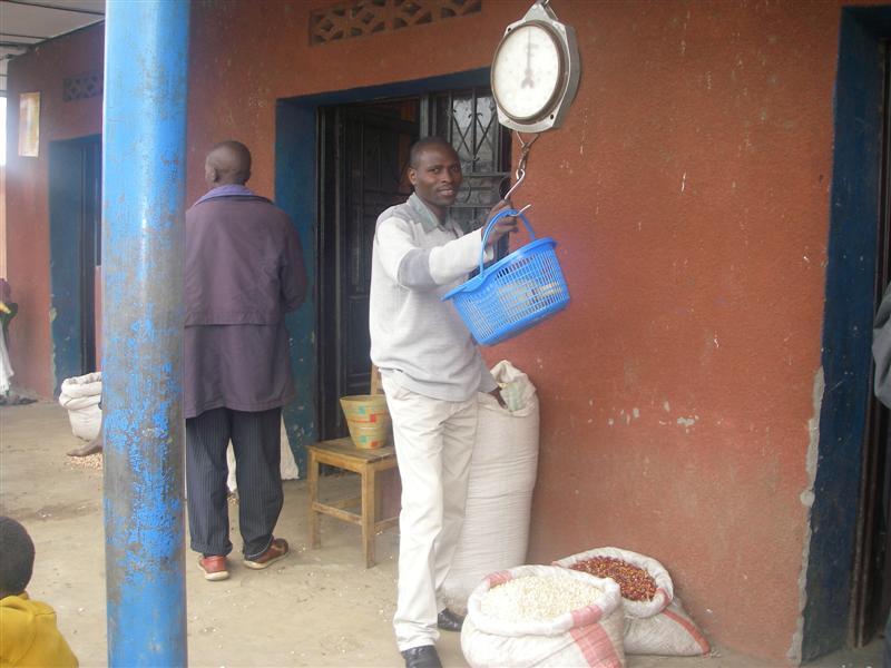 Borrower image