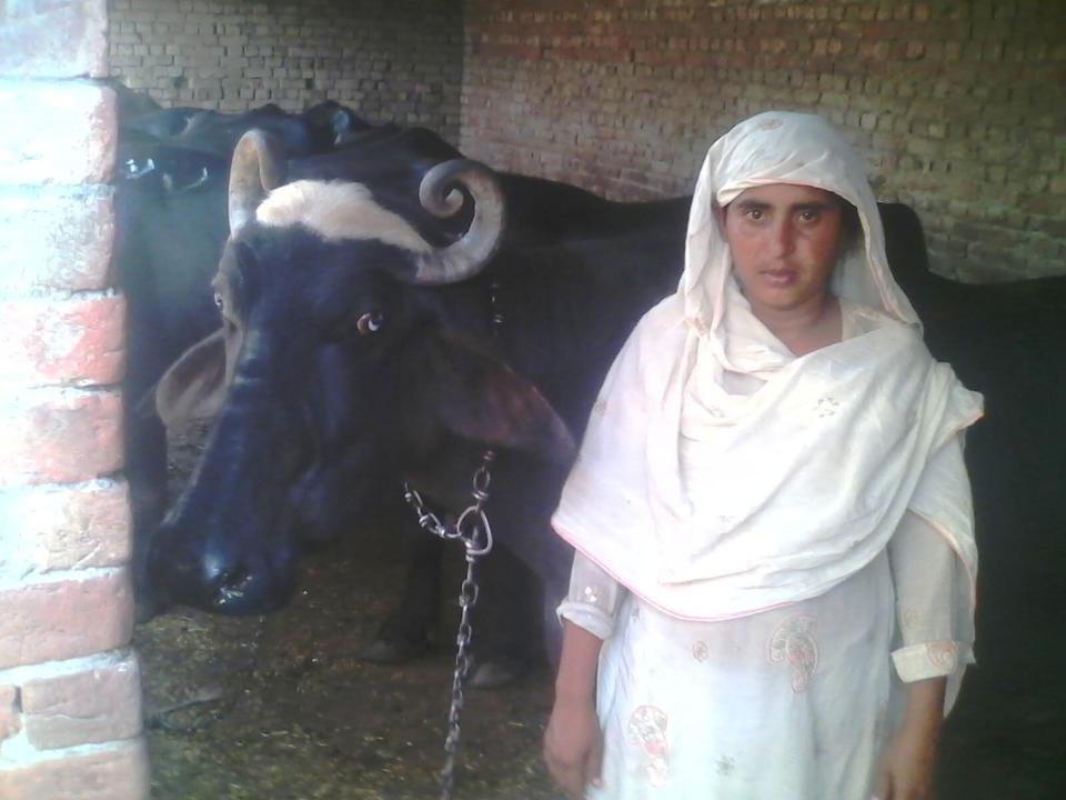 Borrower image