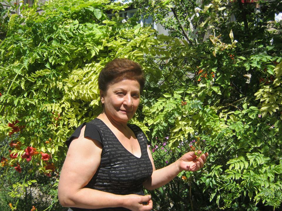 Borrower image