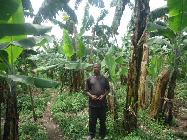 Borrower image