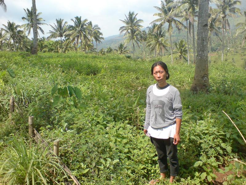 Borrower image
