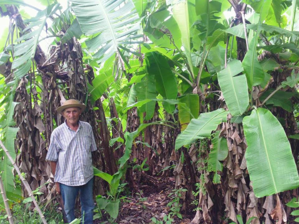 Borrower image
