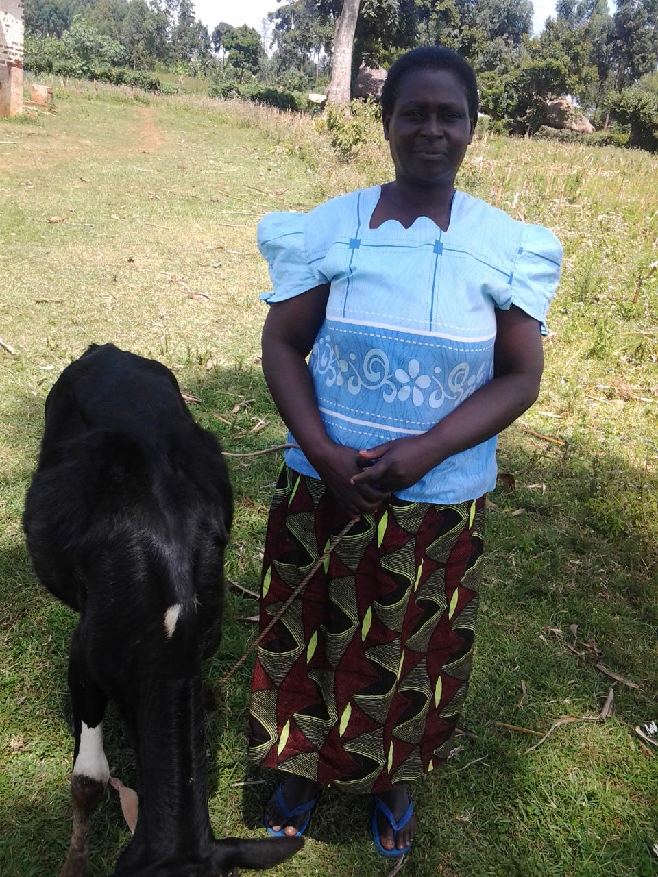 Borrower image