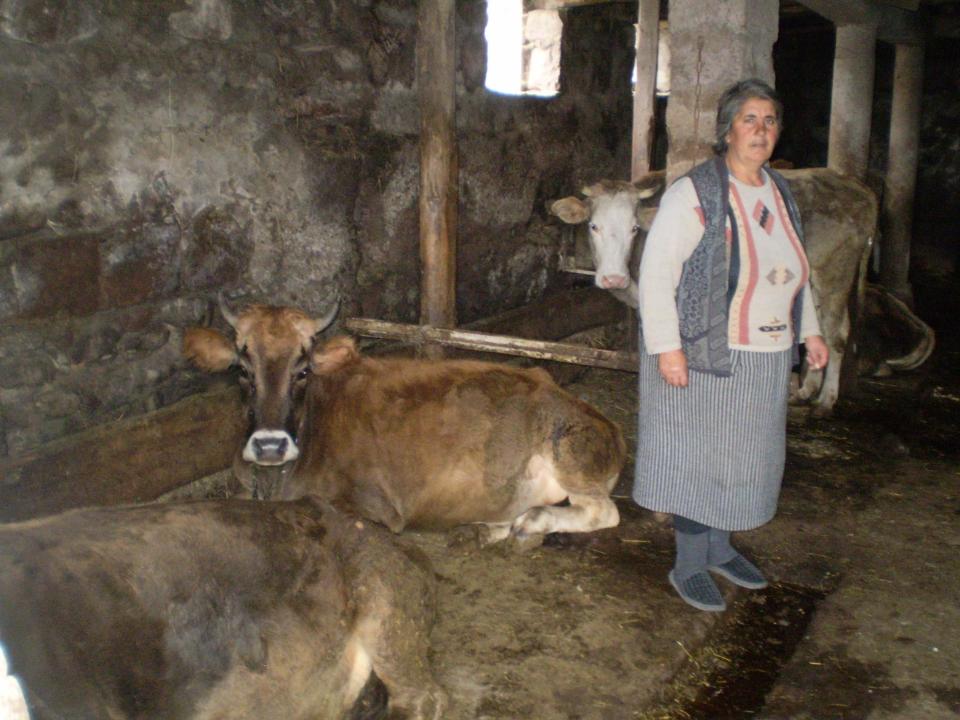 Borrower image