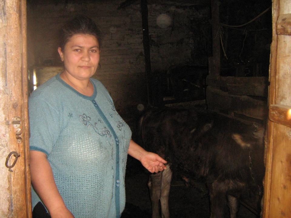 Borrower image