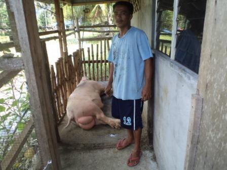Borrower image