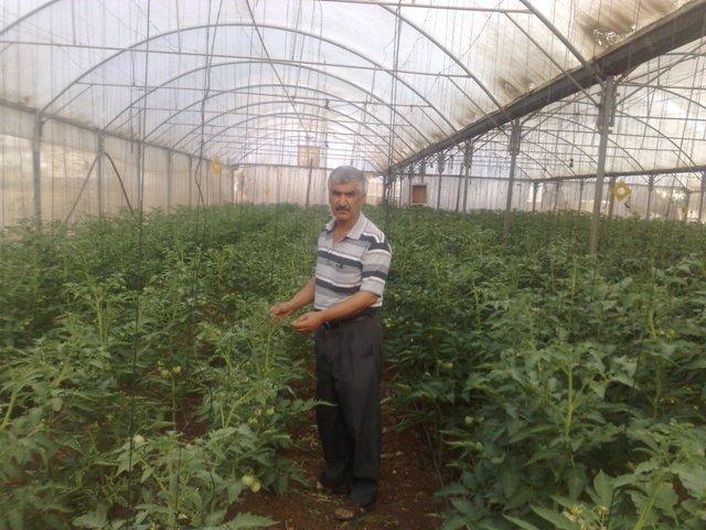 Borrower image