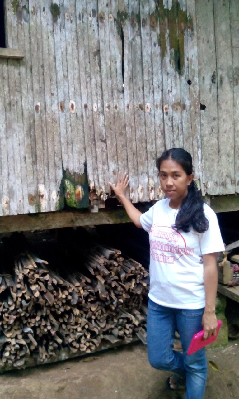 Borrower image