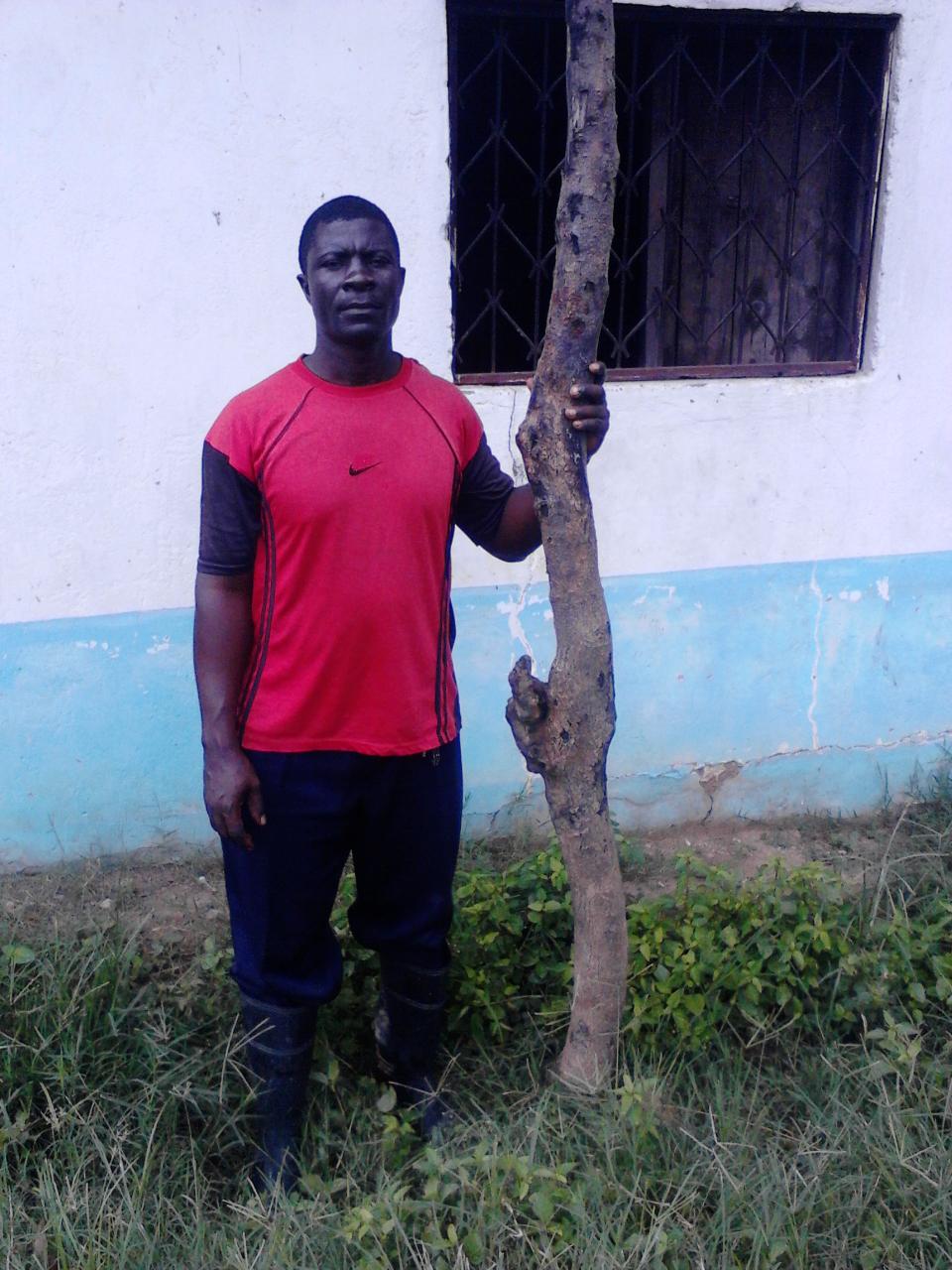 Borrower image