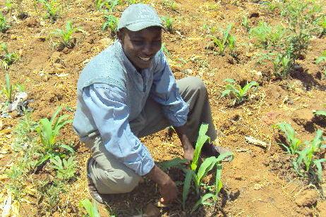 Borrower image