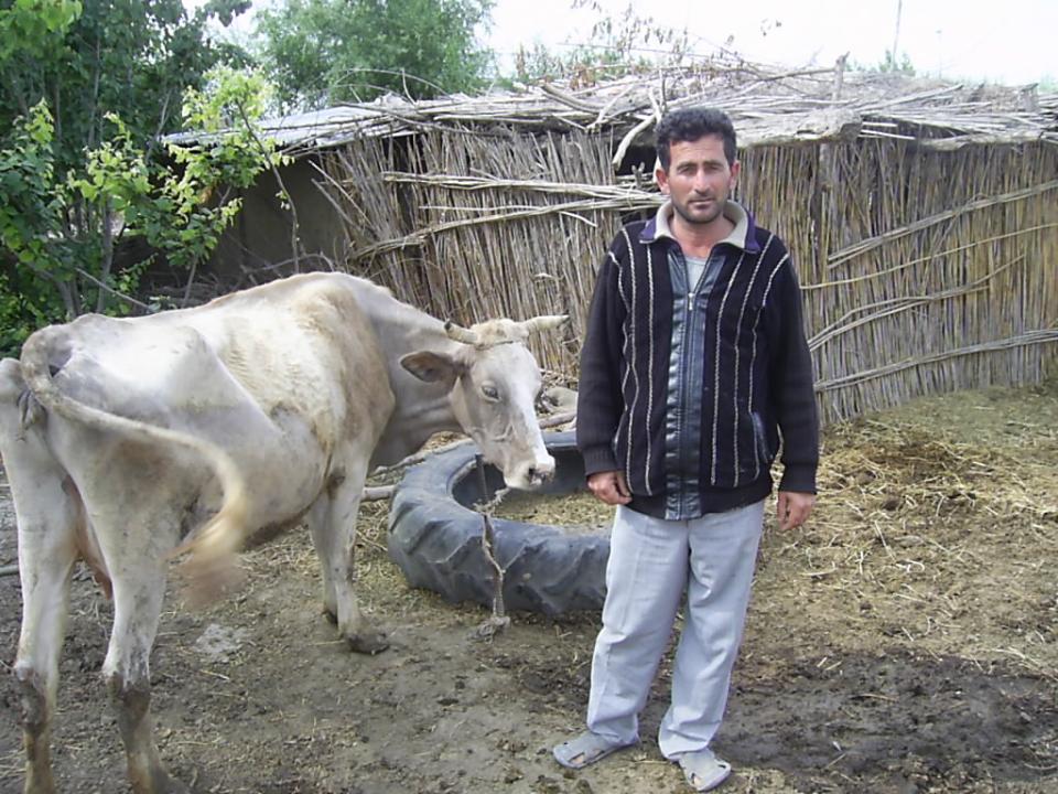 Borrower image