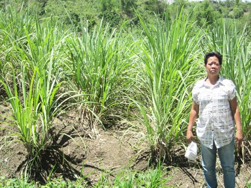 Borrower image