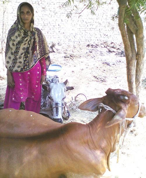 Borrower image