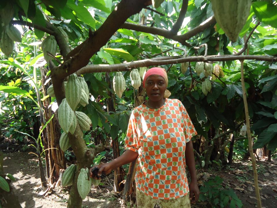 Borrower image