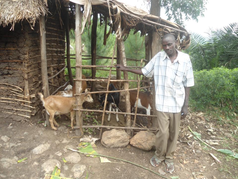 Borrower image