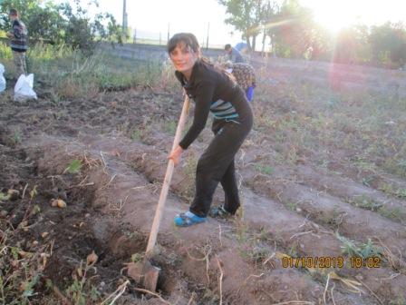 Borrower image