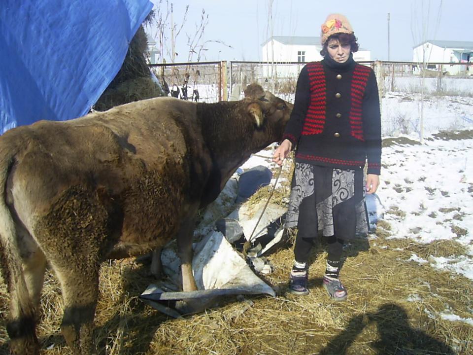 Borrower image