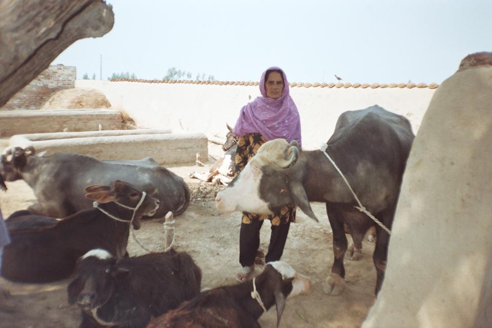Borrower image
