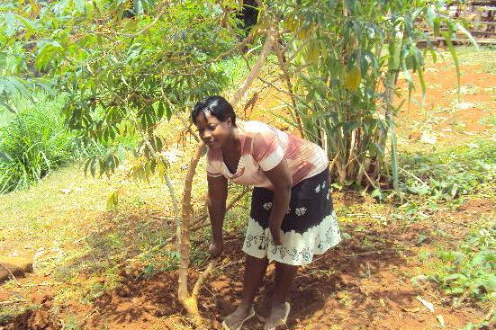 Borrower image