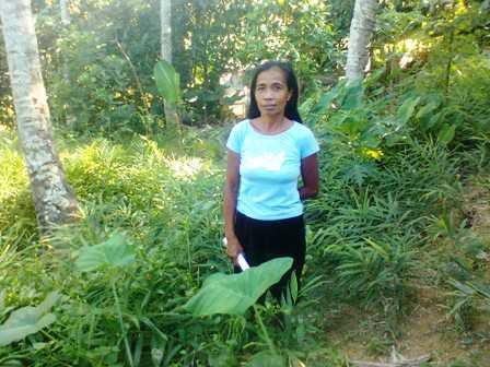 Borrower image