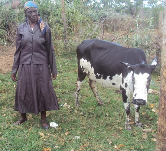 Borrower image