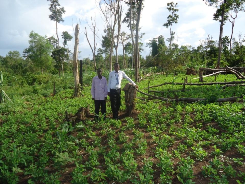 Borrower image