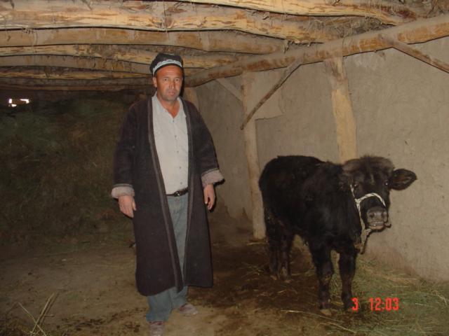 Borrower image