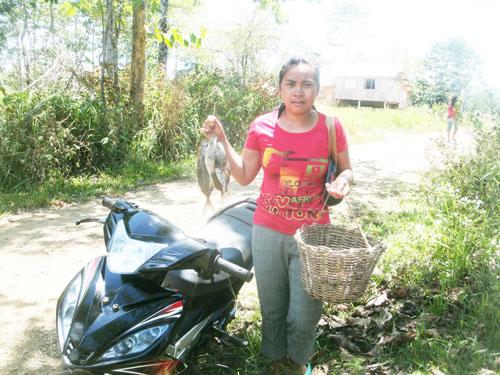 Borrower image