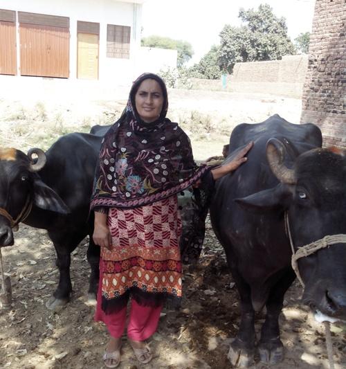 Borrower image
