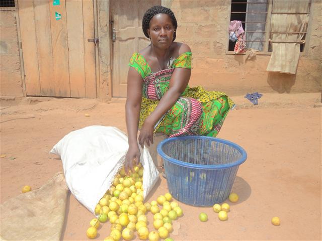 Borrower image