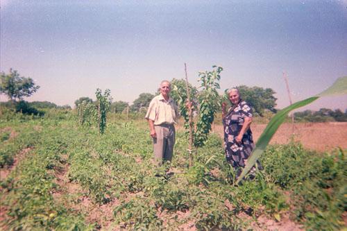 Borrower image