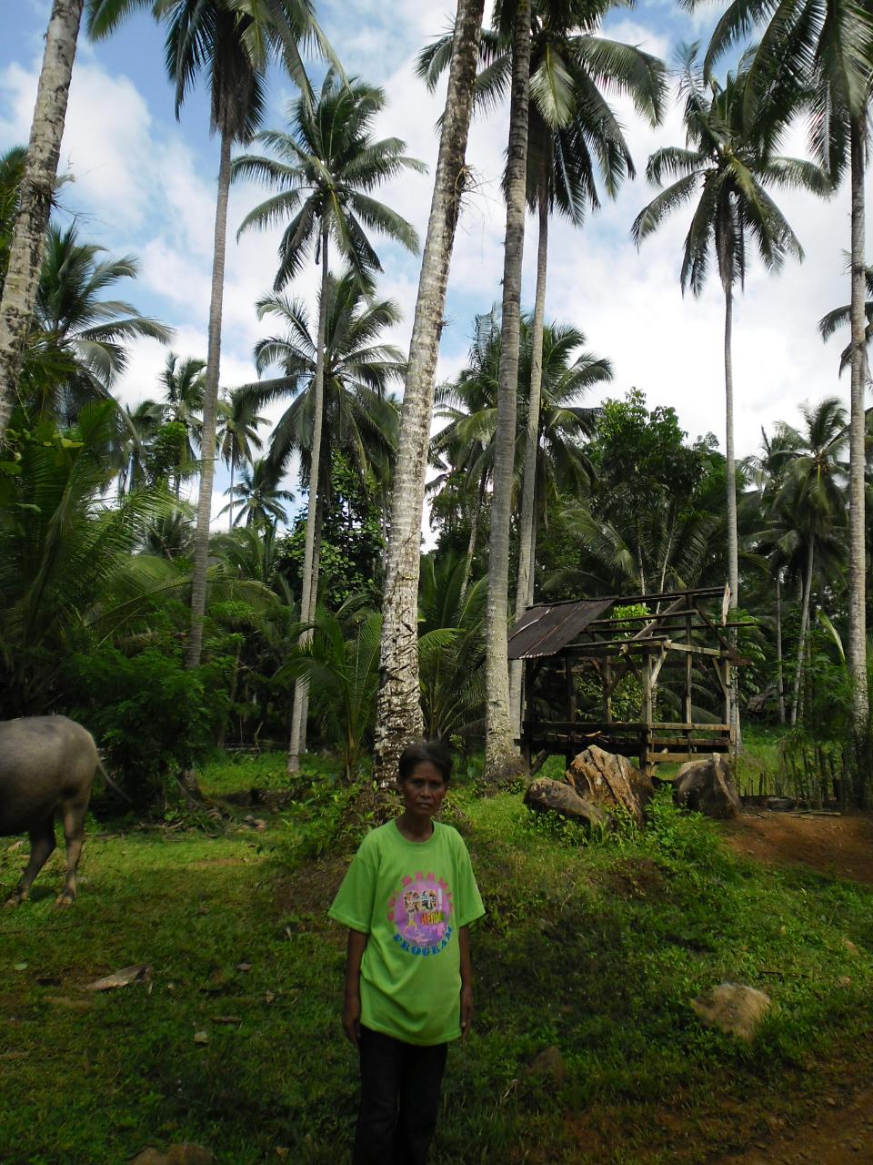 Borrower image