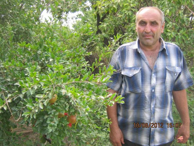 Borrower image