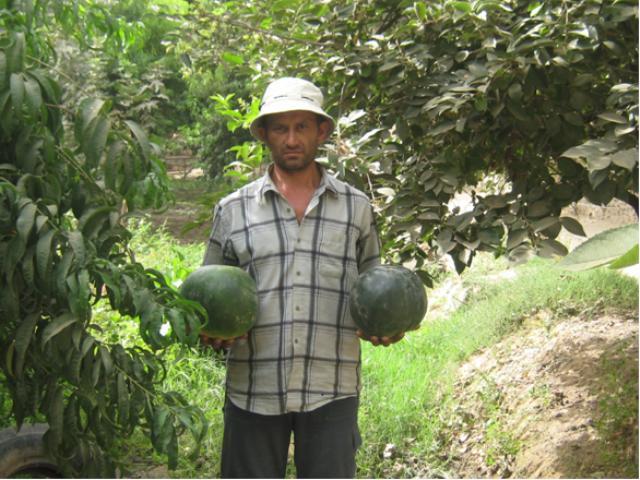 Borrower image