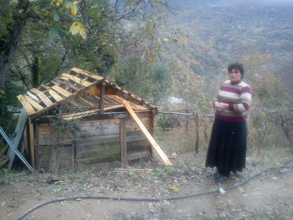 Borrower image